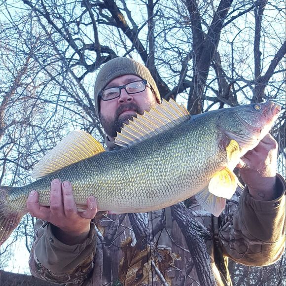 Meet your Posher, Dustin - Picture 1 of 1